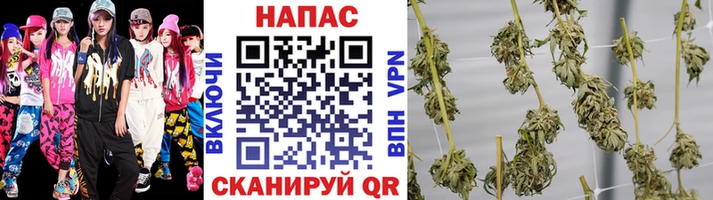  COCAIN Зуевка