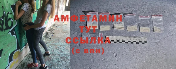 ECSTASY Алзамай