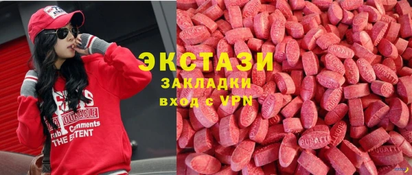 ECSTASY Алзамай