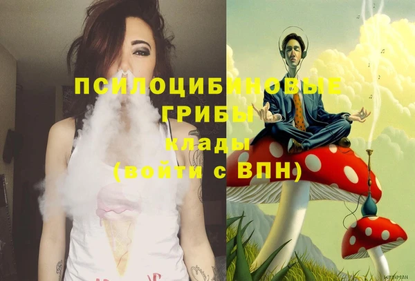 ГАЛЛЮЦИНОГЕННЫЕ ГРИБЫ Алексеевка