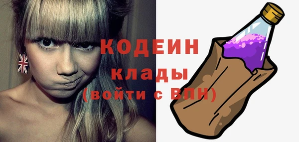 ECSTASY Алзамай