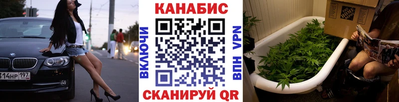 Канабис конопля Зуевка