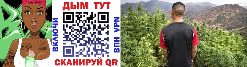 Марихуана VHQ где можно купить наркотик mega ссылки Зуевка